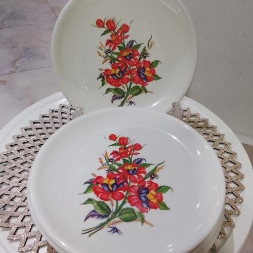 میوه خوری دو دست بسیار تمیز و شیک