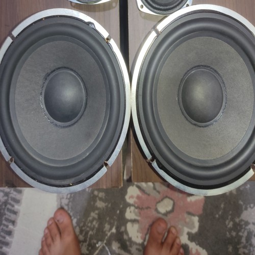 فروش ووفر الجی 6.5 اینچ اصل با قیمت مناسب