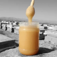 عسل رویال تقویتی ارگانیک 100 گرمی | بهترین کیفیت