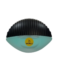 عطر جیبی زنانه برندینی مدل world حجم 25 میلی لیتر