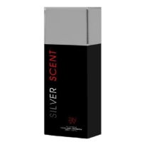 عطر جیبی مردانه ان وی مدل  حجم 30 میلی لیتر