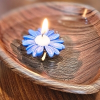 شمع بابونه رایحه آرامش در رنگ‌های چشم‌نواز