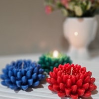 شمع گل داوودی شکوفه‌ای رنگارنگ برای جشن سال نو