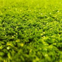 چمن مصنوعی 25 میل برای مهد کودک و فضای باز