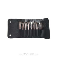 ست براش رزگلد مدیاژ، کامل و ارگونومیک