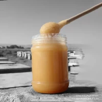 عسل رویال تقویتی ارگانیک ۵۰۰ گرمی | بهترین کیفیت