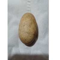 سنگ آسیاب ی اصلی برای آسیاب و پخت خانگی