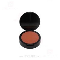 رژگونه گلدن سوآن با پوشش مات و رنگ‌دانه‌های غنی