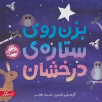 کتاب بزن روی ستاره ی درخشان کد - راهنمایی کامل