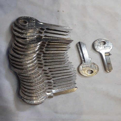 خرید 20 عدد کلید خام وردسا با بهترین قیمت