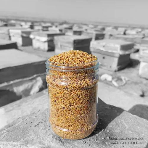 گرده گل خالص کوهستانی 2 کیلوگرم - کیفیت برتر