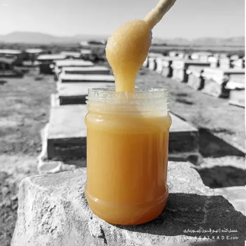عسل گون خام ارگانیک طبیعی و خالص
