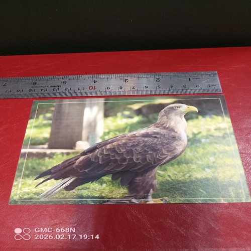 فروش بسته صدتایی کارت پستال تیراژ 1000عدد