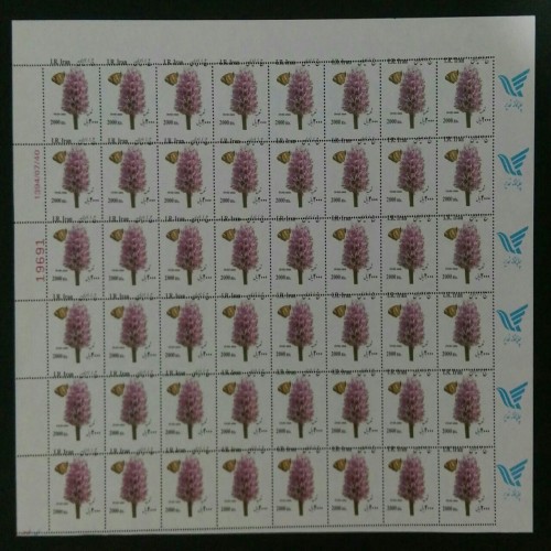 فروش ارور جابجایی پرفراژ ورق گل ثعلب با بهترین قیمت