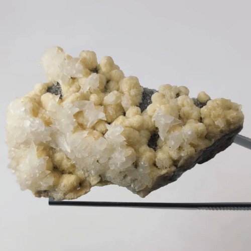 خرید بلور کلسیت فلاور بر بستر دولومیت معدنی