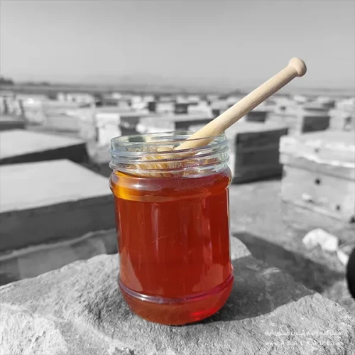 عسل گشنیز ارگانیک صاف شده طبیعی و خالص