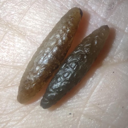 مهره کارایی دار شرطی اصل با ارتعاش بالا