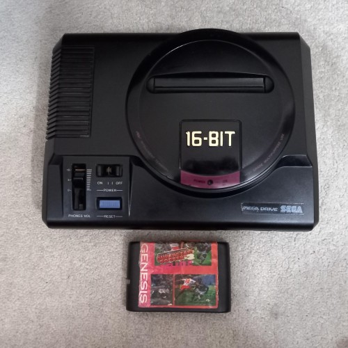 کلگی سگا کمیاب با بهترین کیفیت و سالم