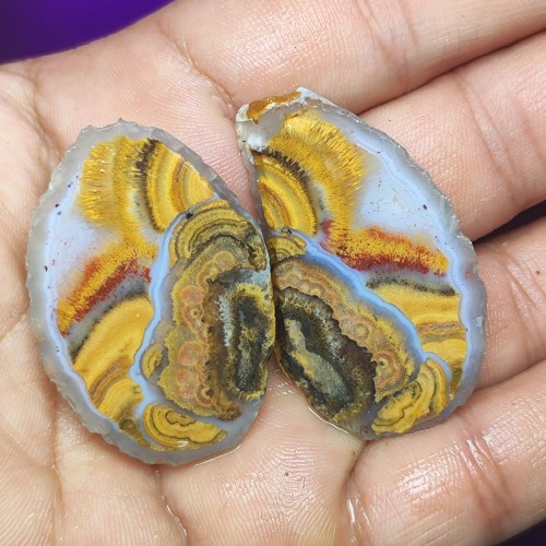 فروش مزایده کار خاص و بی نظیر بابا قوری زایشی