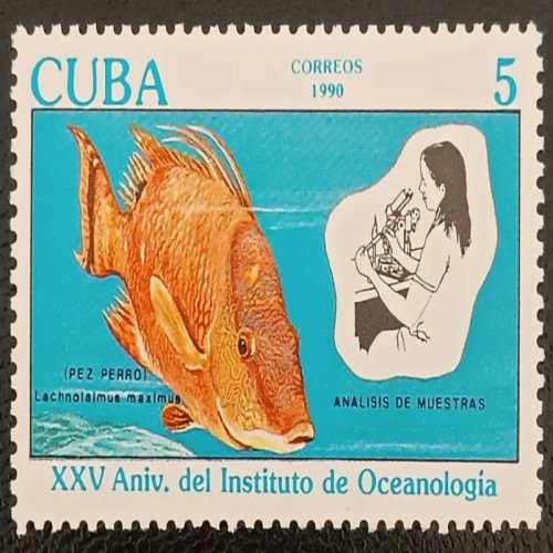 فروش تمبر کوبا مهر نخورده