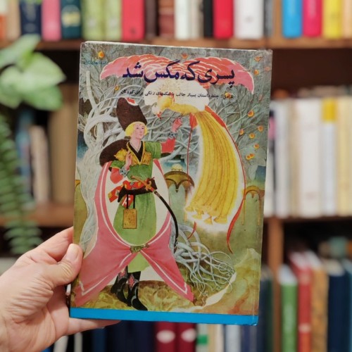 کتاب کودک قدیمی پسری که مگس شد - داستان‌های جذاب